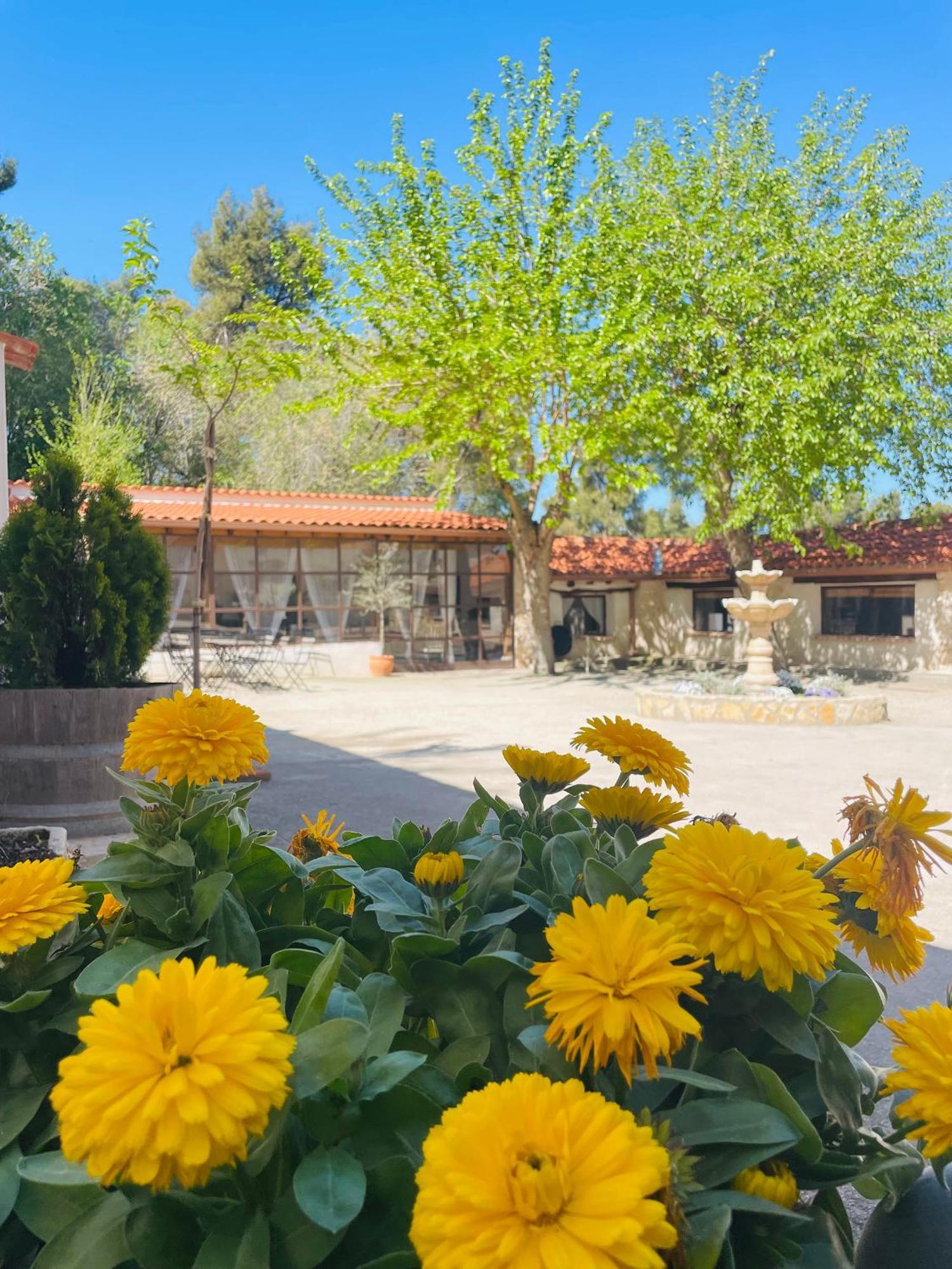 Casa Rural Majada Del Conde La Guardia  Kültér fotó